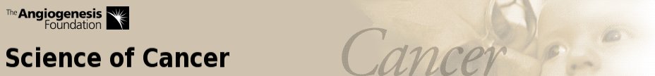 Top Banner